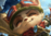 Teemo build guide