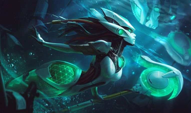 Program Nami Landscape Skin
