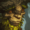 Ivern ability