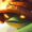 Rammus ability