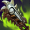 Recipe for Chempunk Chainsword