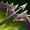 Recipe for Mortal Reminder