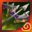 Mortal Reminder builds into Mortal Reminder (Masterwork)